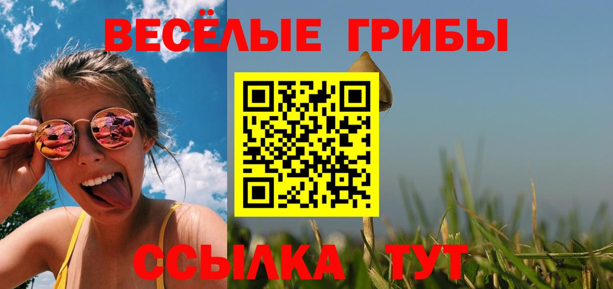 Галлюциногенные грибы Psilocybine cubensis Коломна